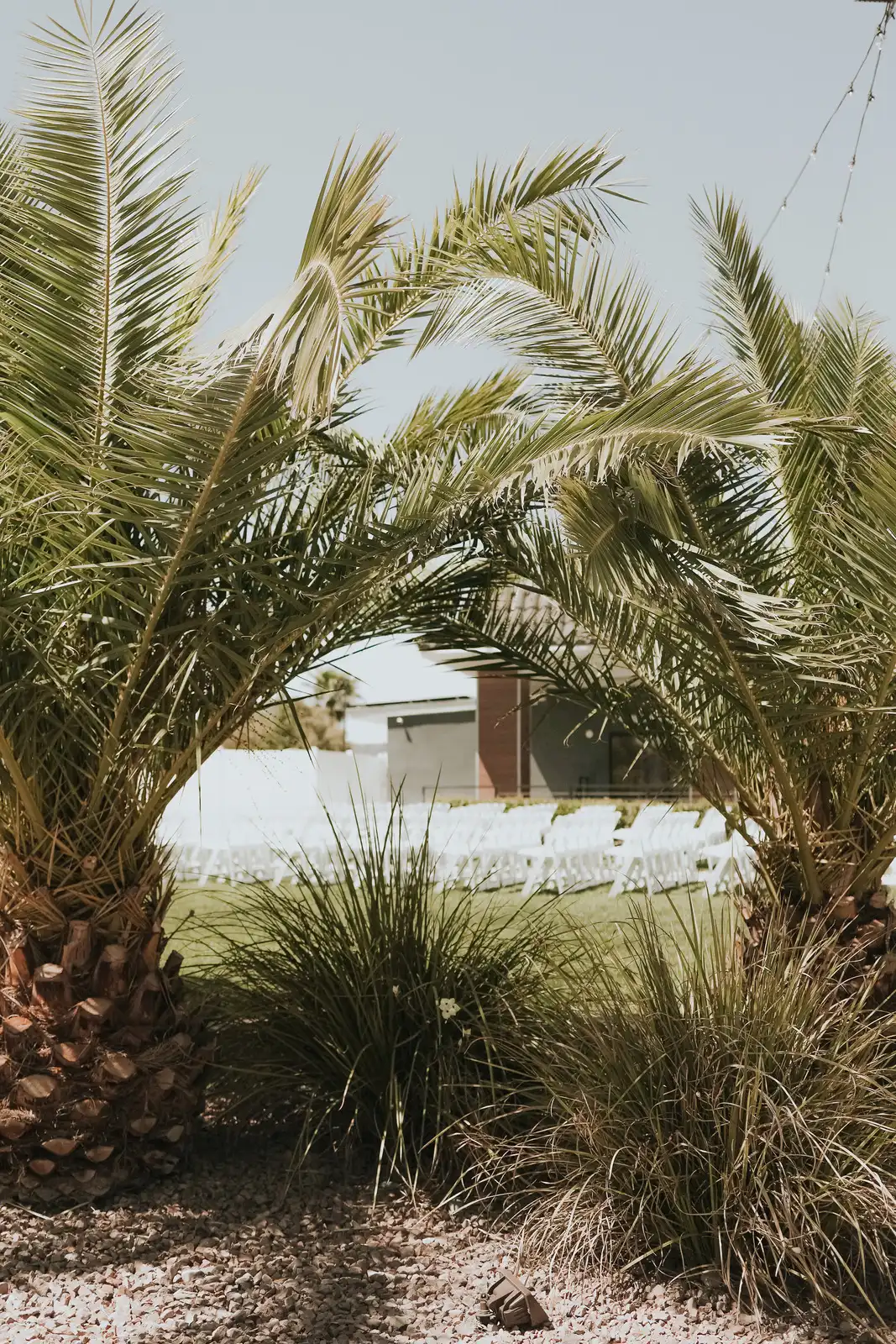 Photo of some palm trees with a wedding ceremony set up in the background